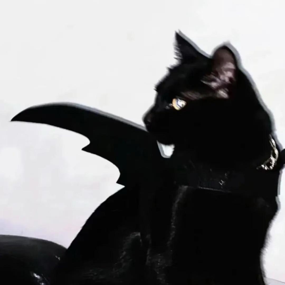 ᵁ¹