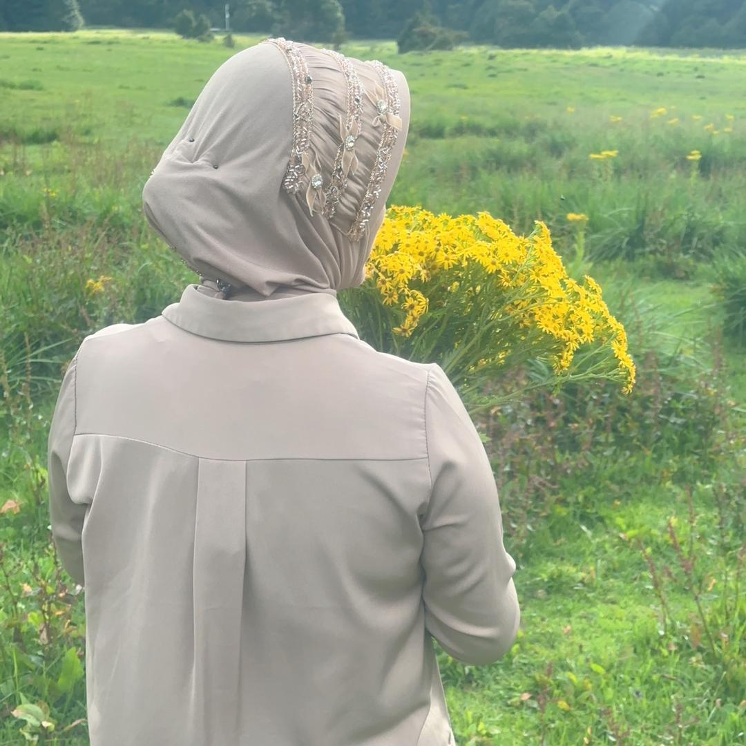 芙蓉不及美人妆