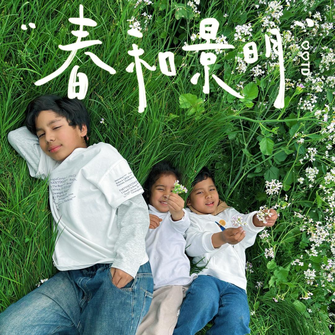 柏玲玲的人生日记