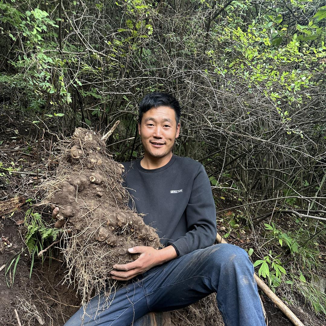 毓泰陇臻大草滩滋补专卖店