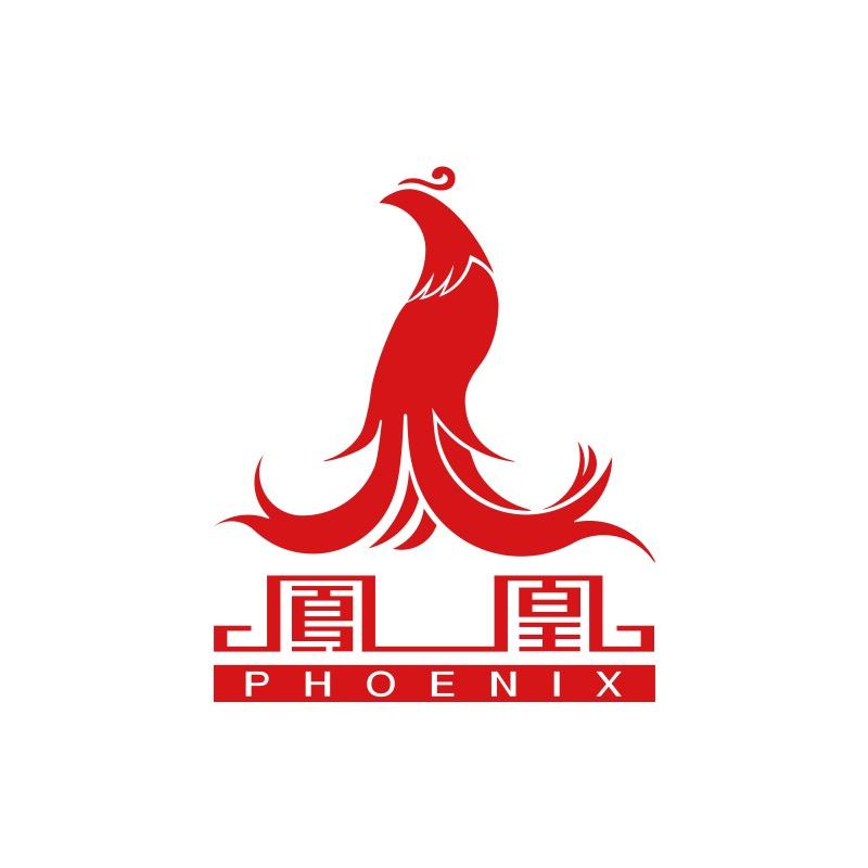 鳳凰电动车旗舰店电助力