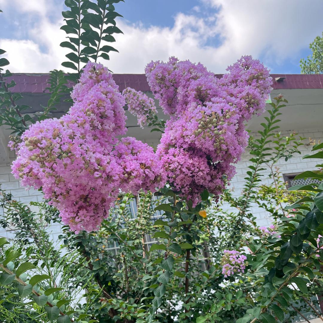 🔥未来可期🔥