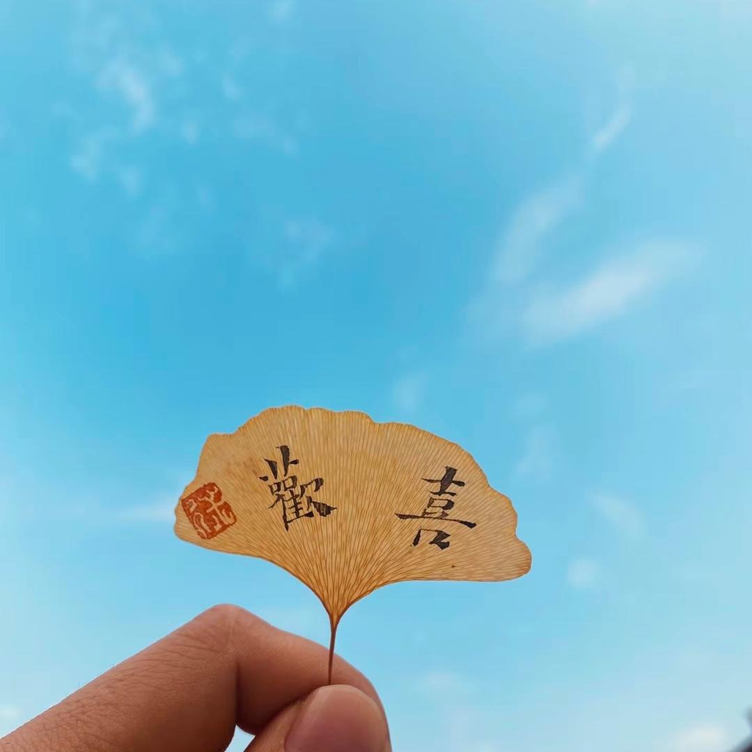 @笔尖上*的爱好者~