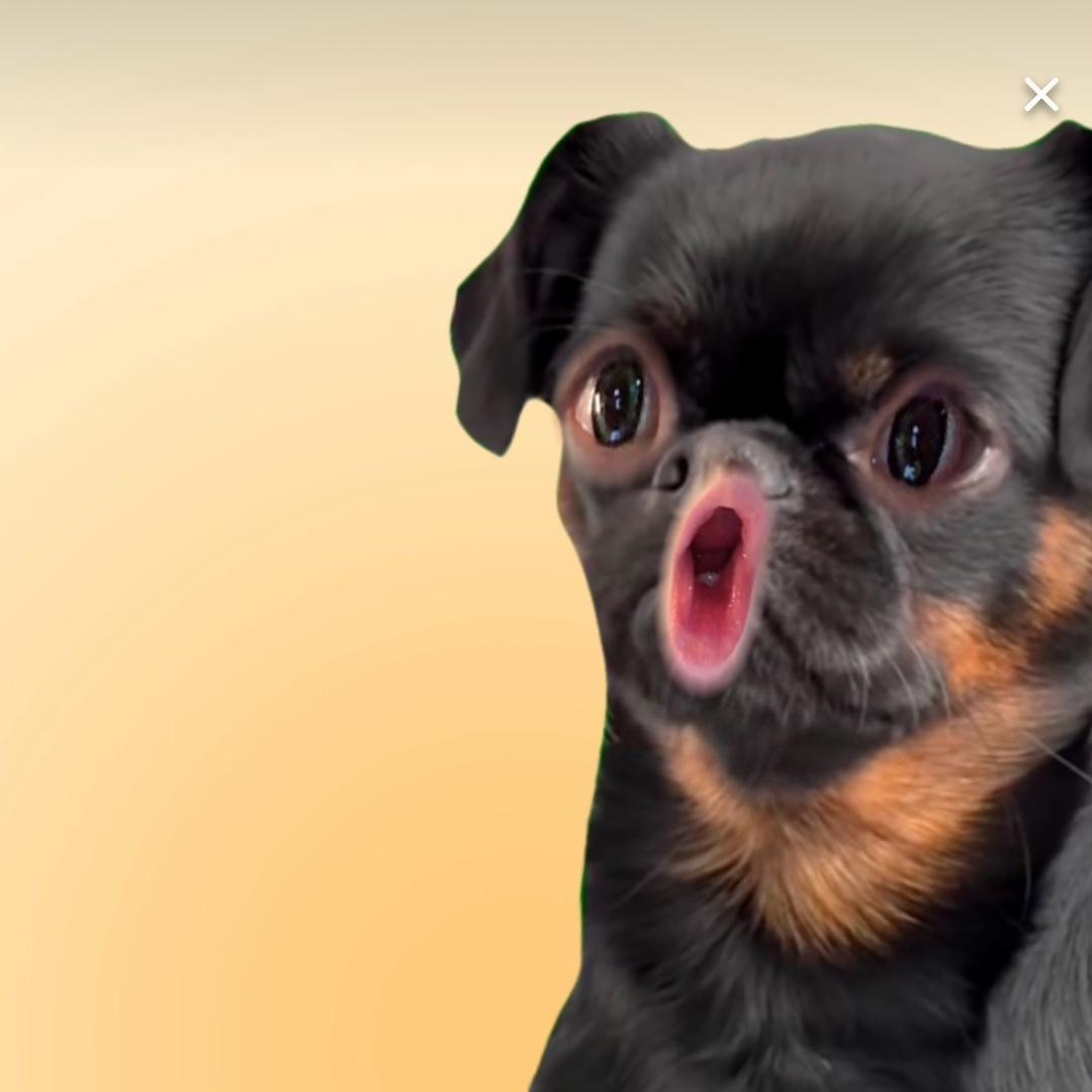 一杯82年的拉黑