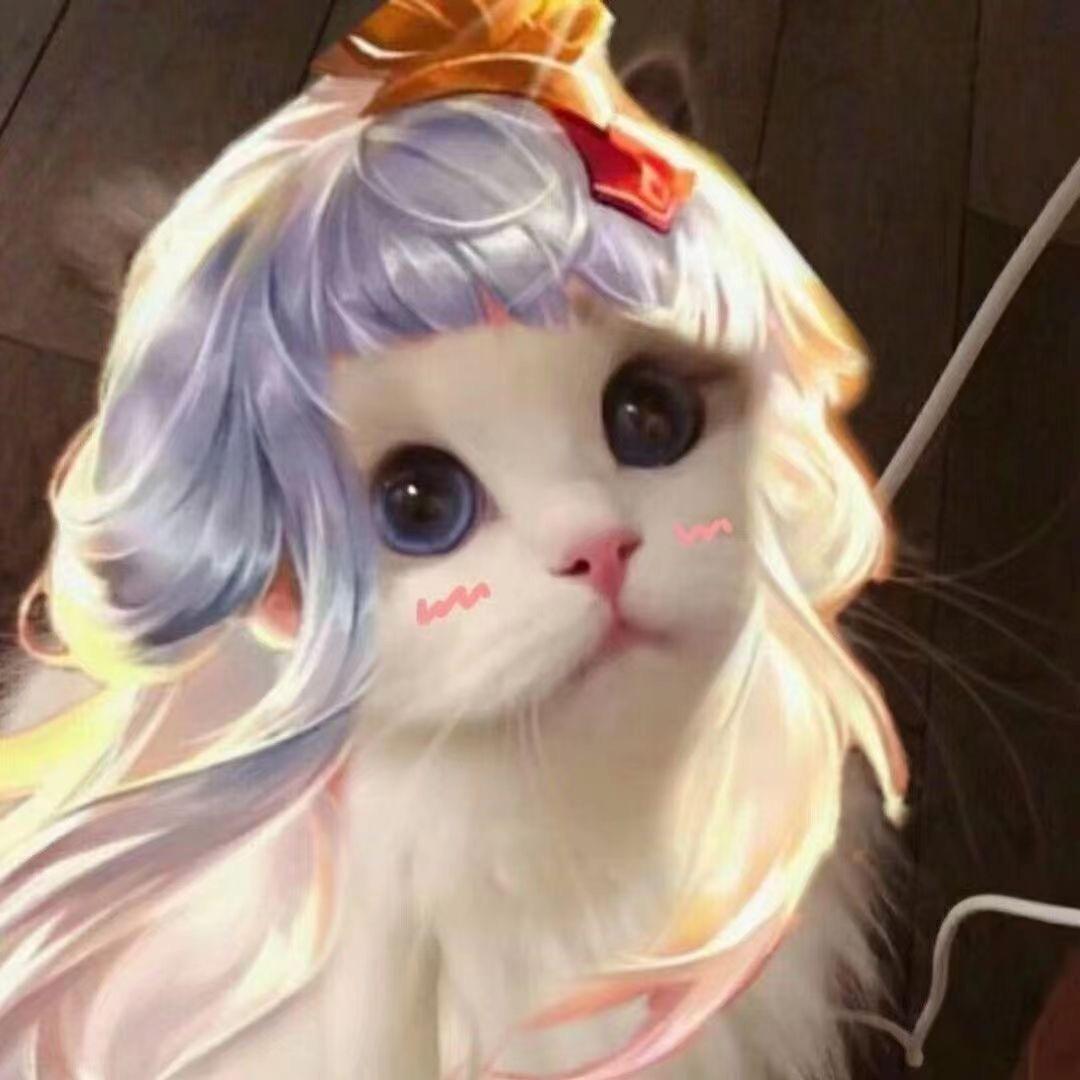 七彩猫（昭君之神）