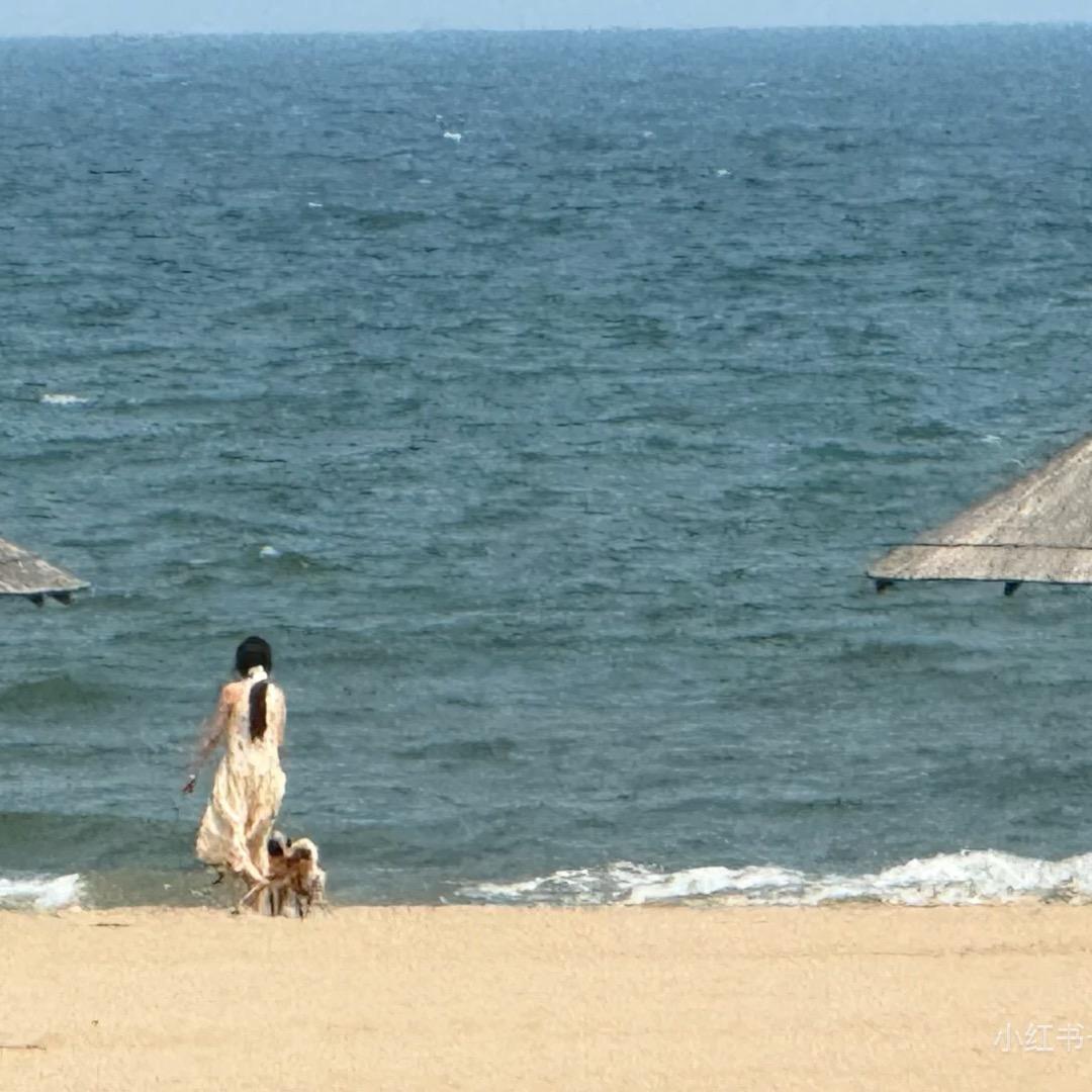 奶香橘子皮