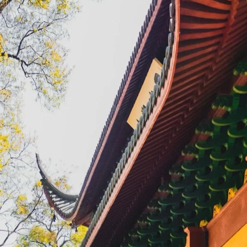 小淘tao