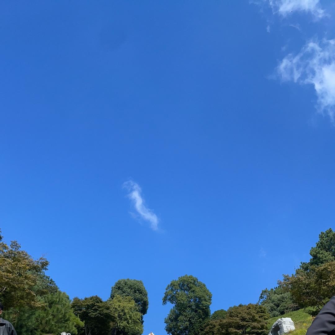 九