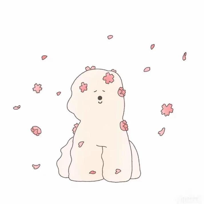 妙妙尔