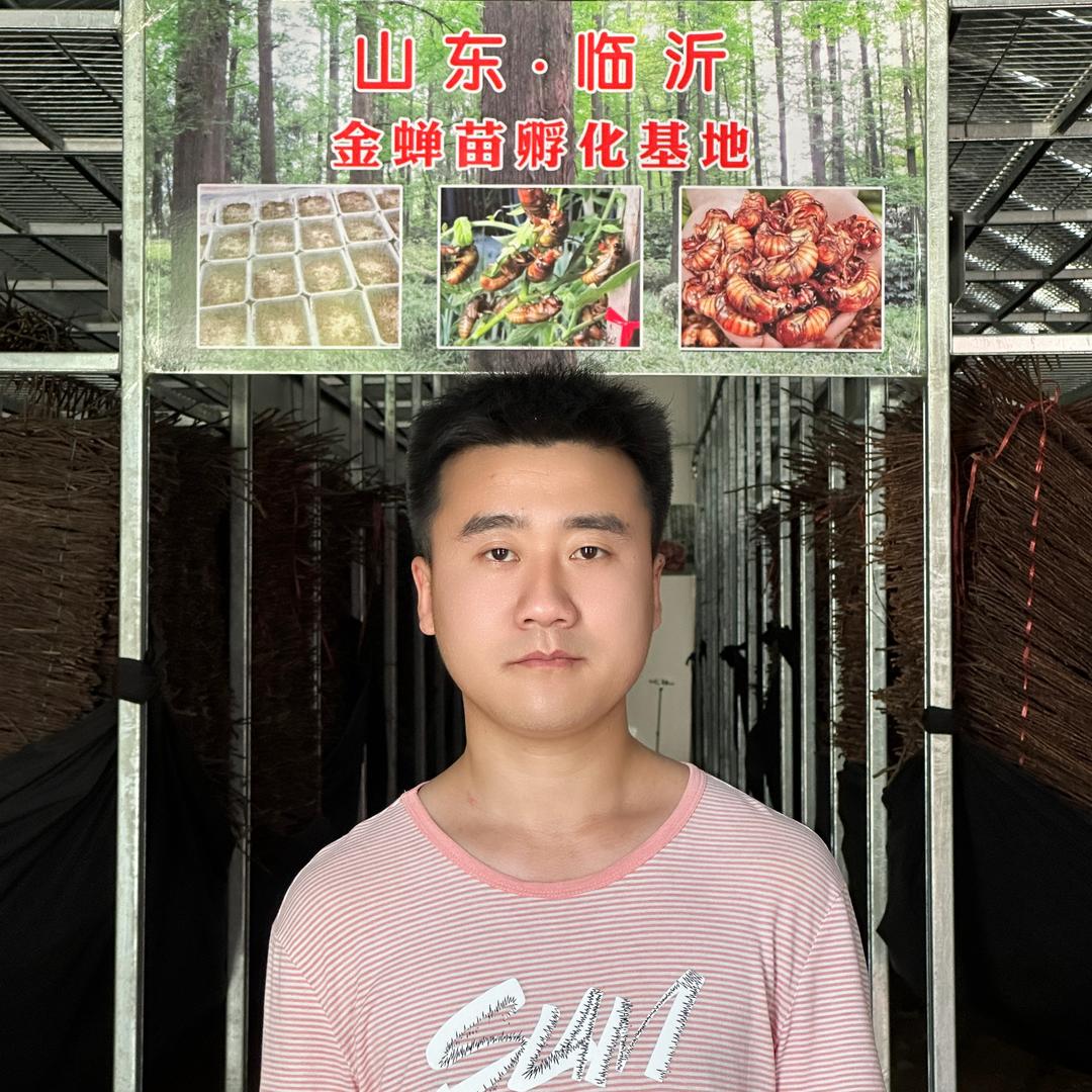 白老师金蝉基地