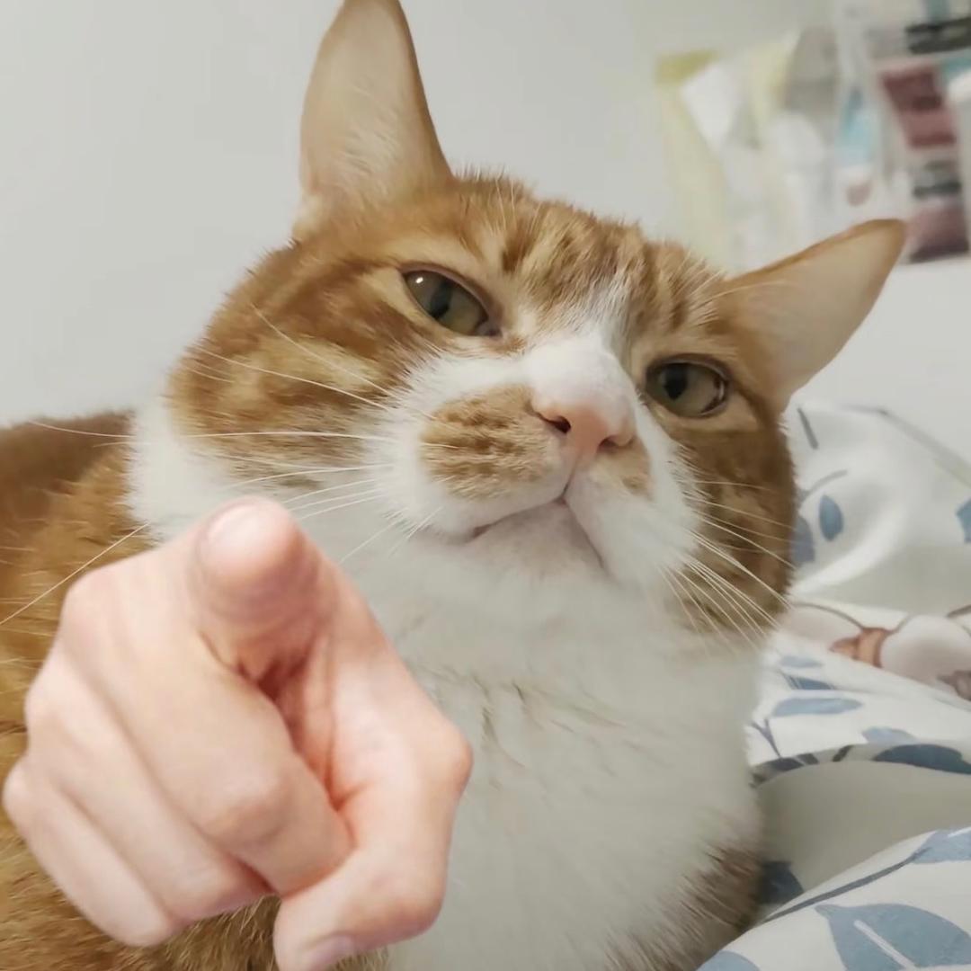 豆花🌸&豆芽🌱