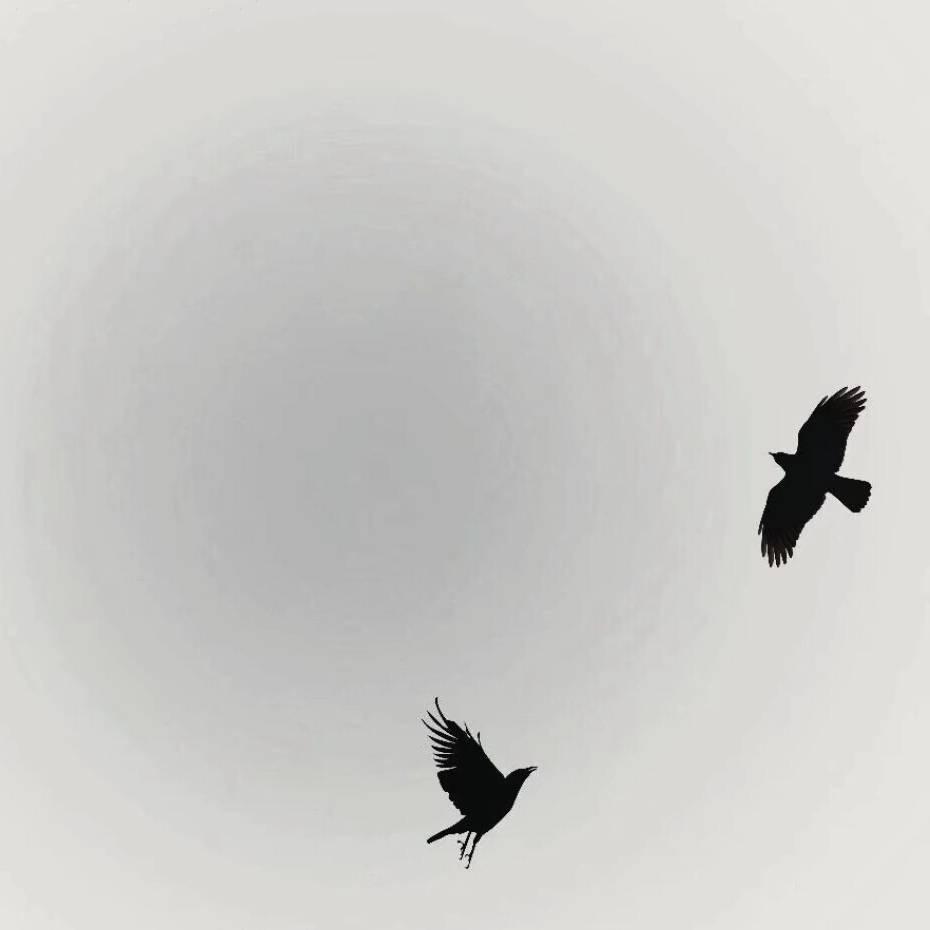清柠.