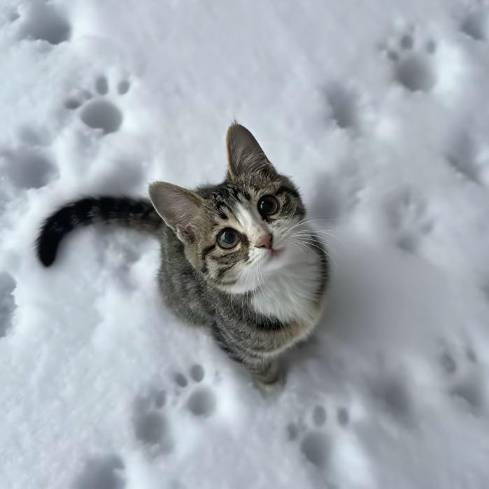 晚自习打死不当根号九