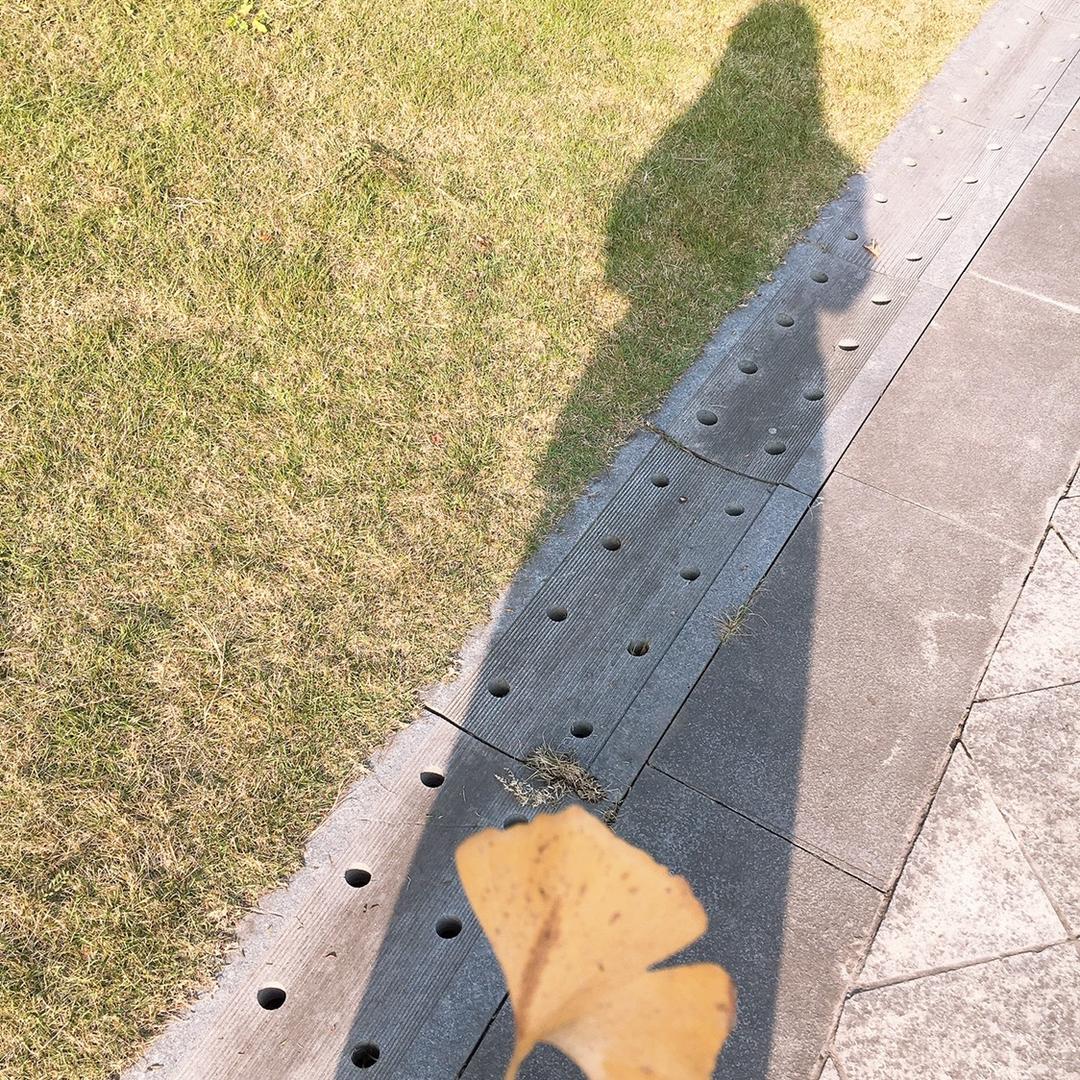 手机用户70894608047