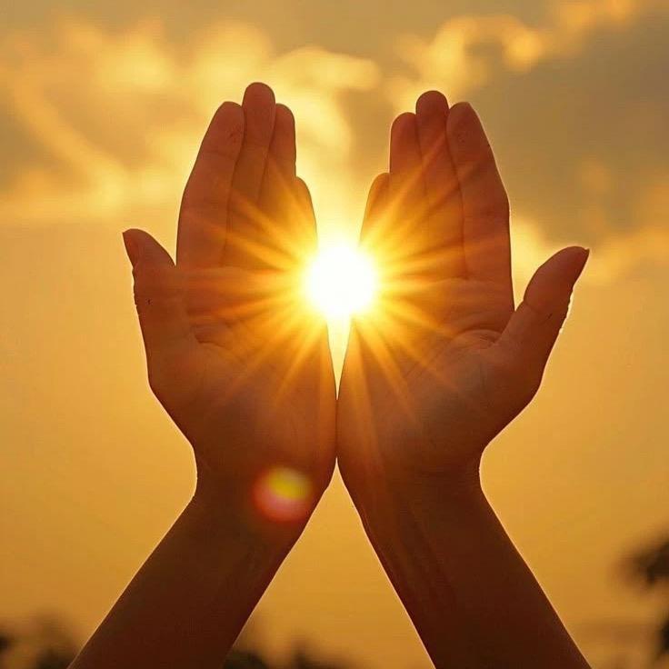 撒下好命的种子🍀