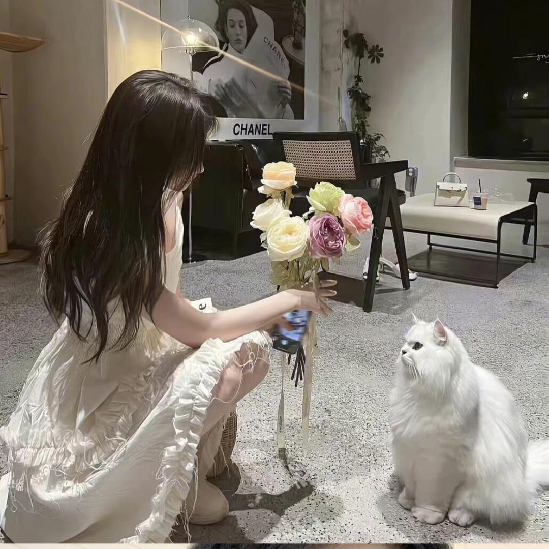 Xᗜie·ᰔᩚ🐱