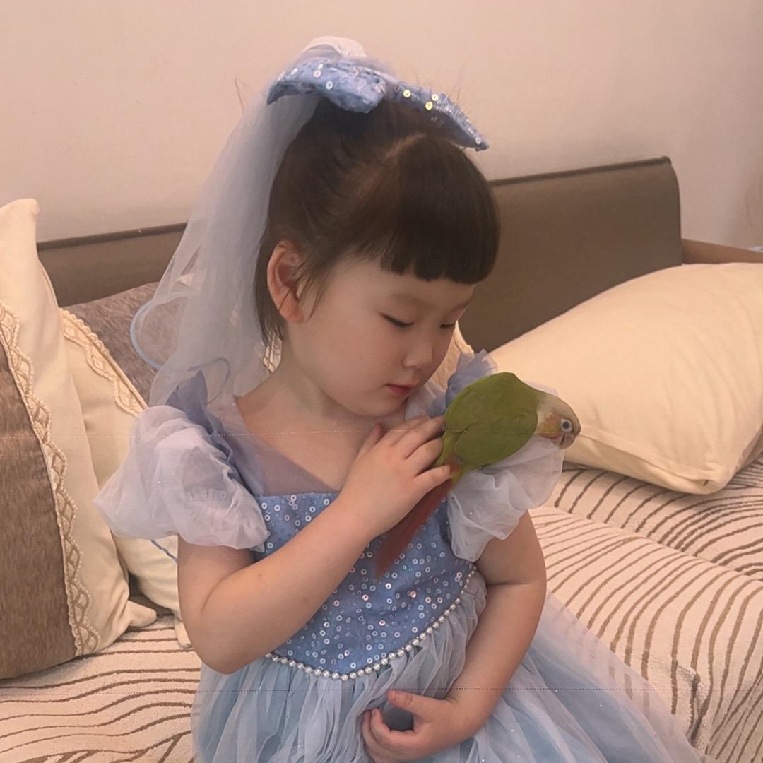 嘟嘟是只粑粑鸡🐥