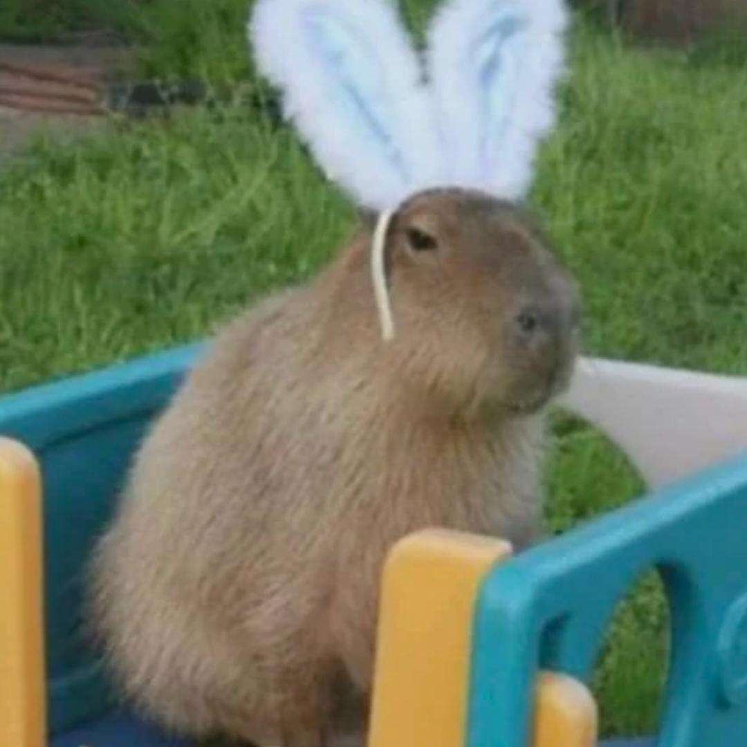 将就看吧。。。