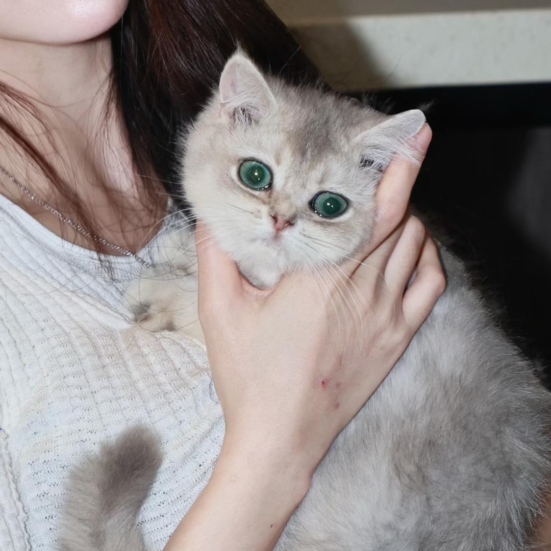 NINI