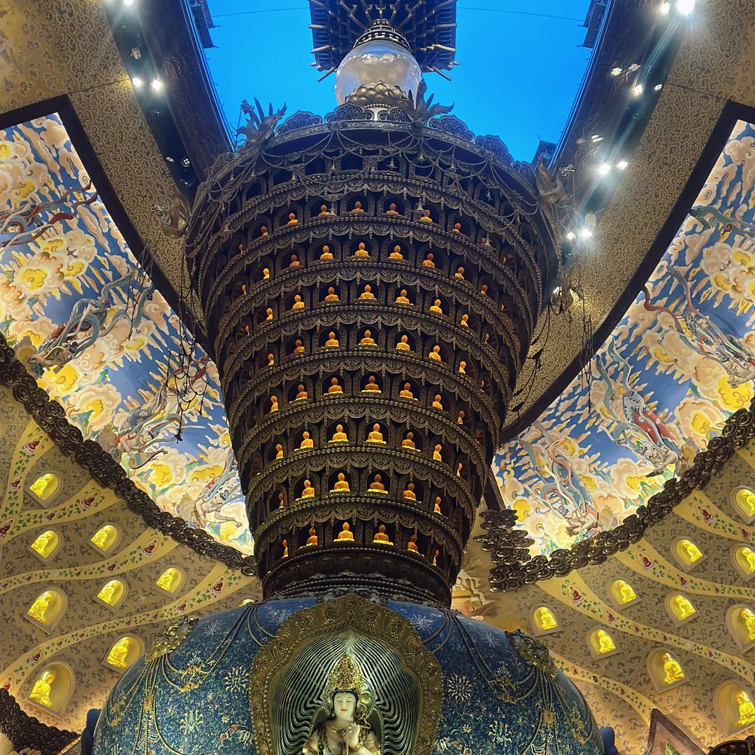 大🦢