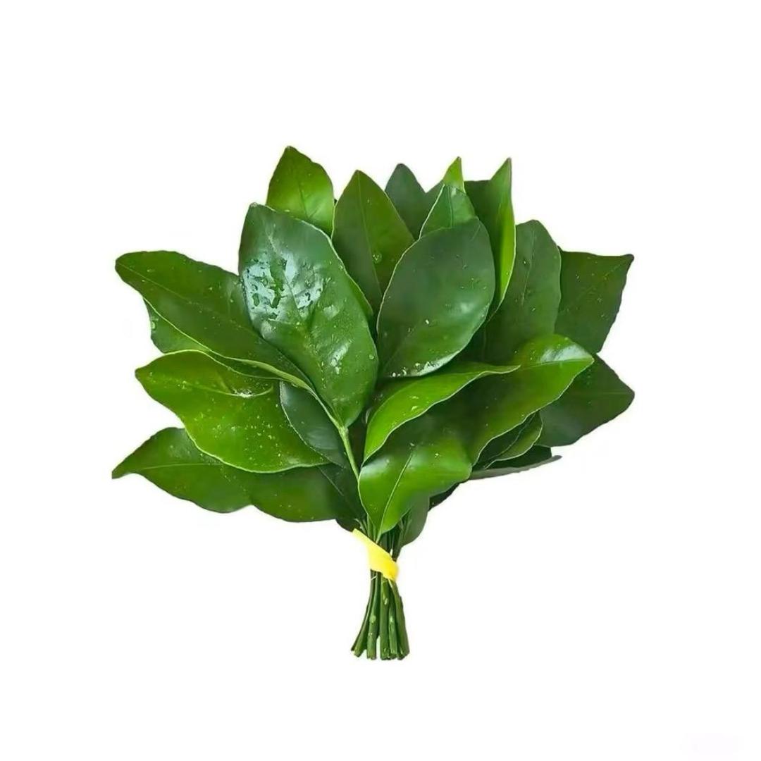 改名字好煩