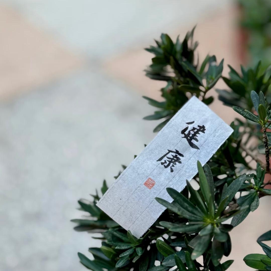 七叔说历史