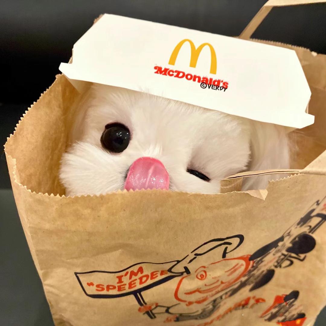 小诺.