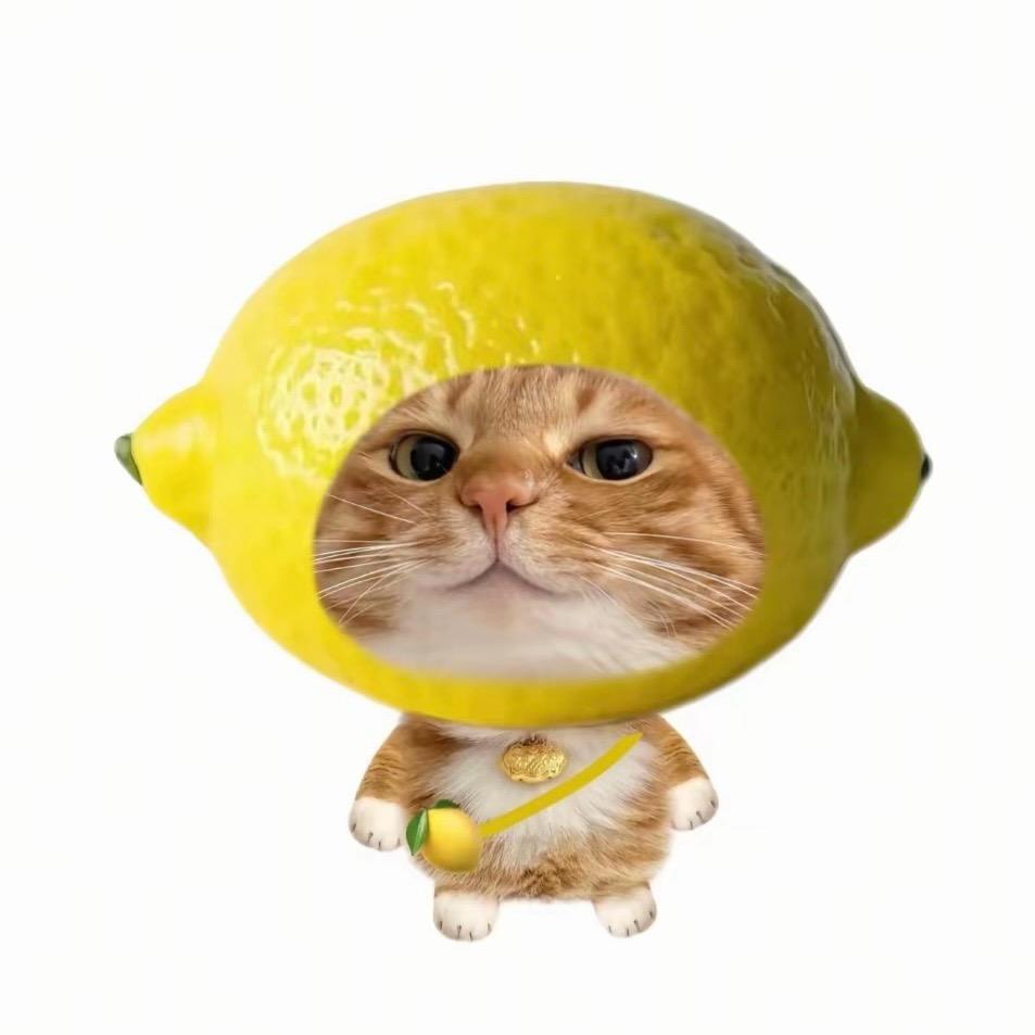 麻辣辣辣辣.