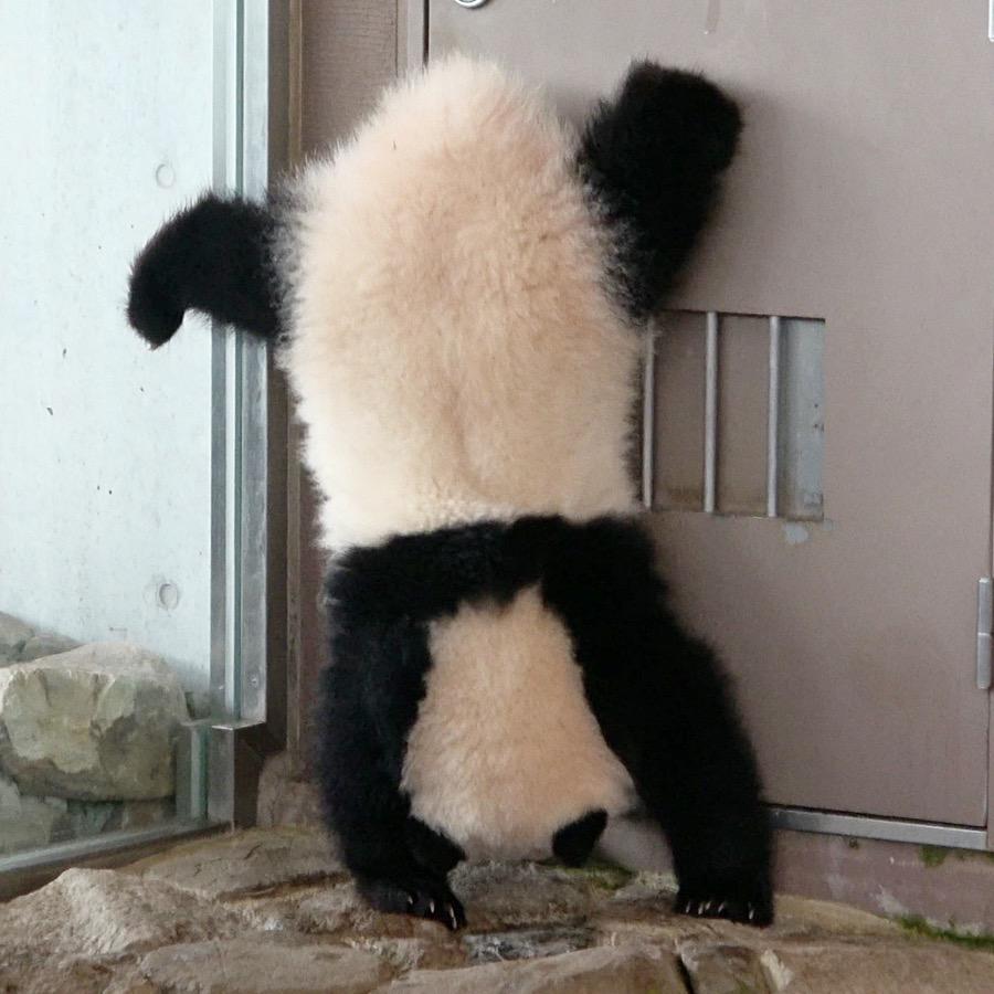 陈嘉琪