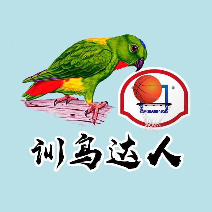 训鸟达人一小鹏利鸿动物养殖