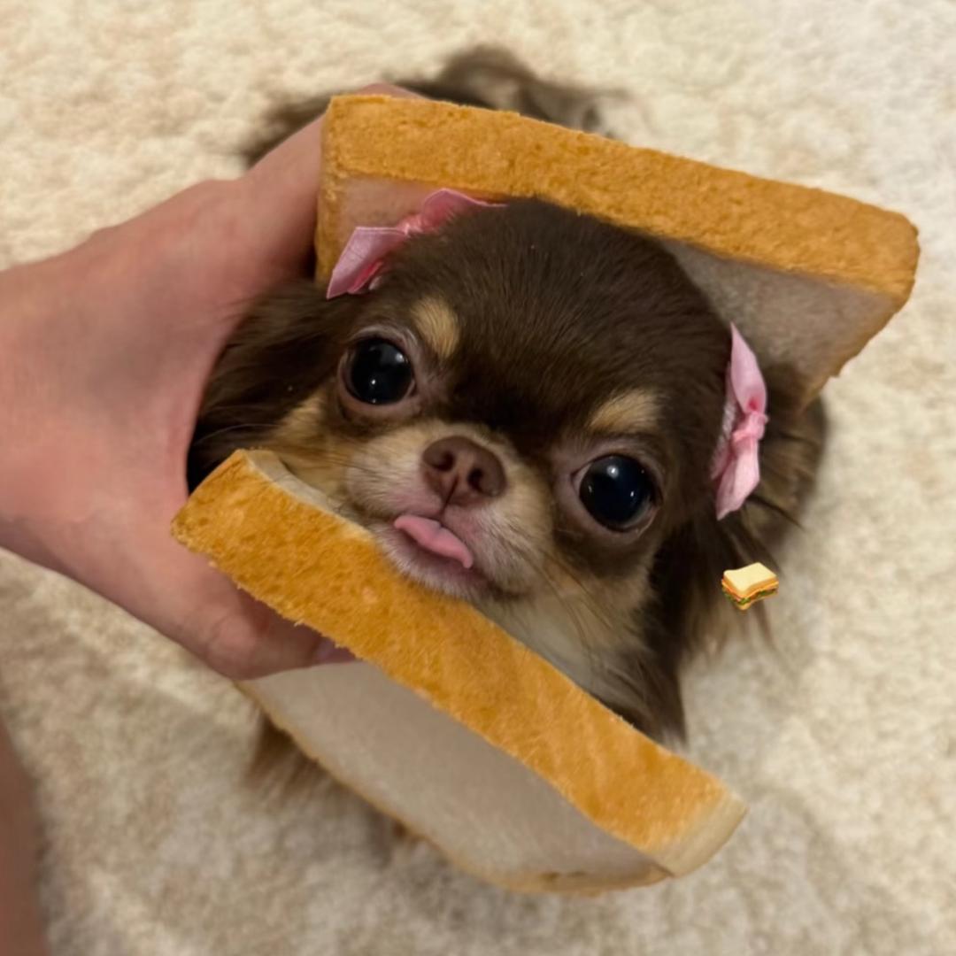 灵玥.