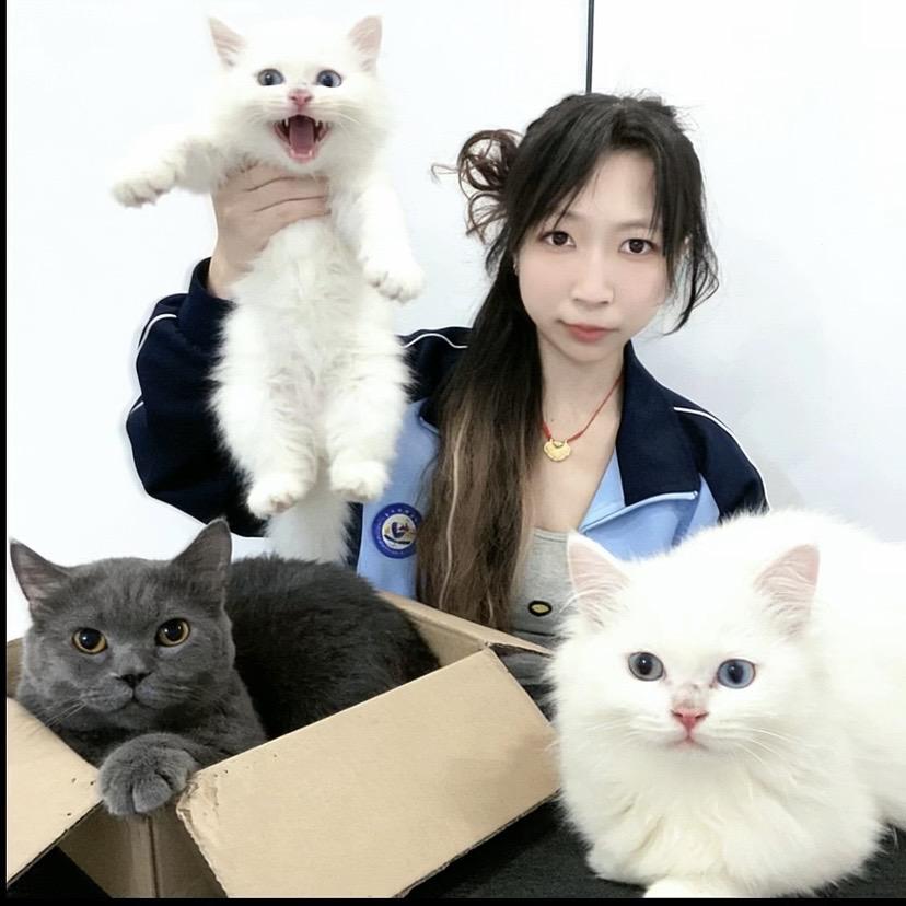 炸弹