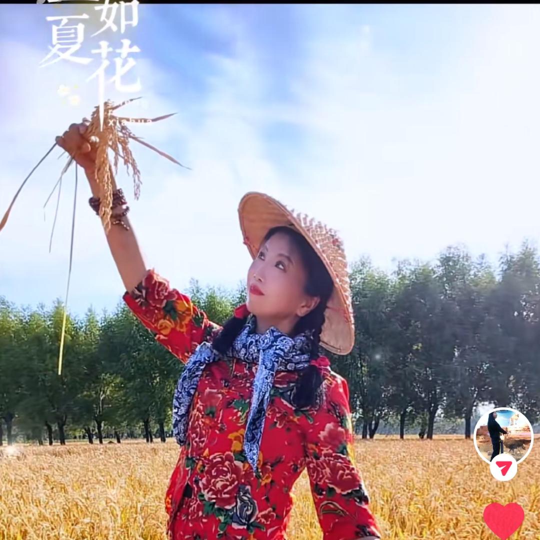 华姐