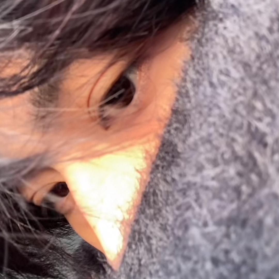 故事只适合放在心里