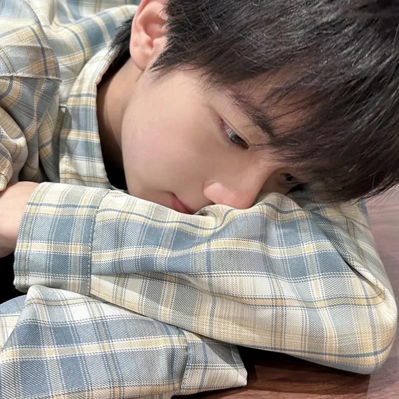 扁嘴伦