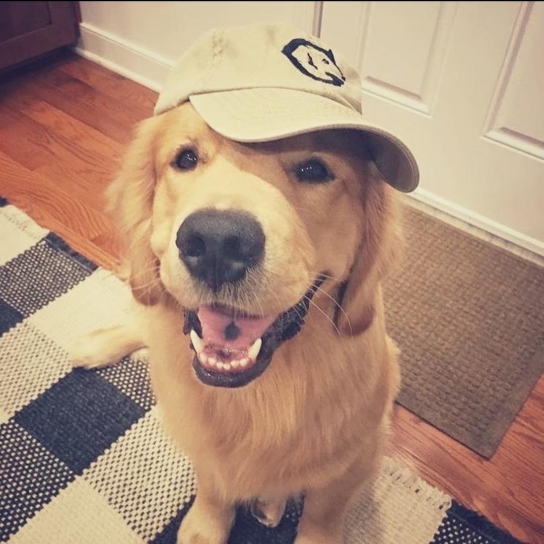 国产看到前女友