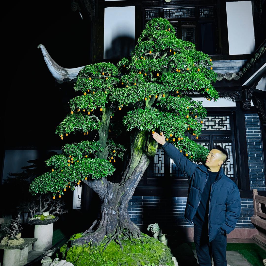 彩云之上园林景观