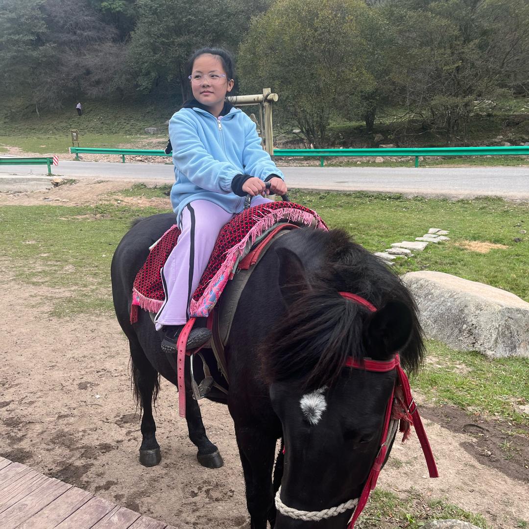 阳阳