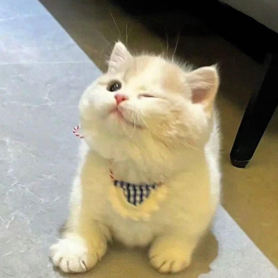 小魏（摸鱼版）