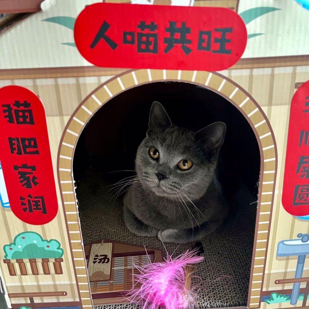 晓微