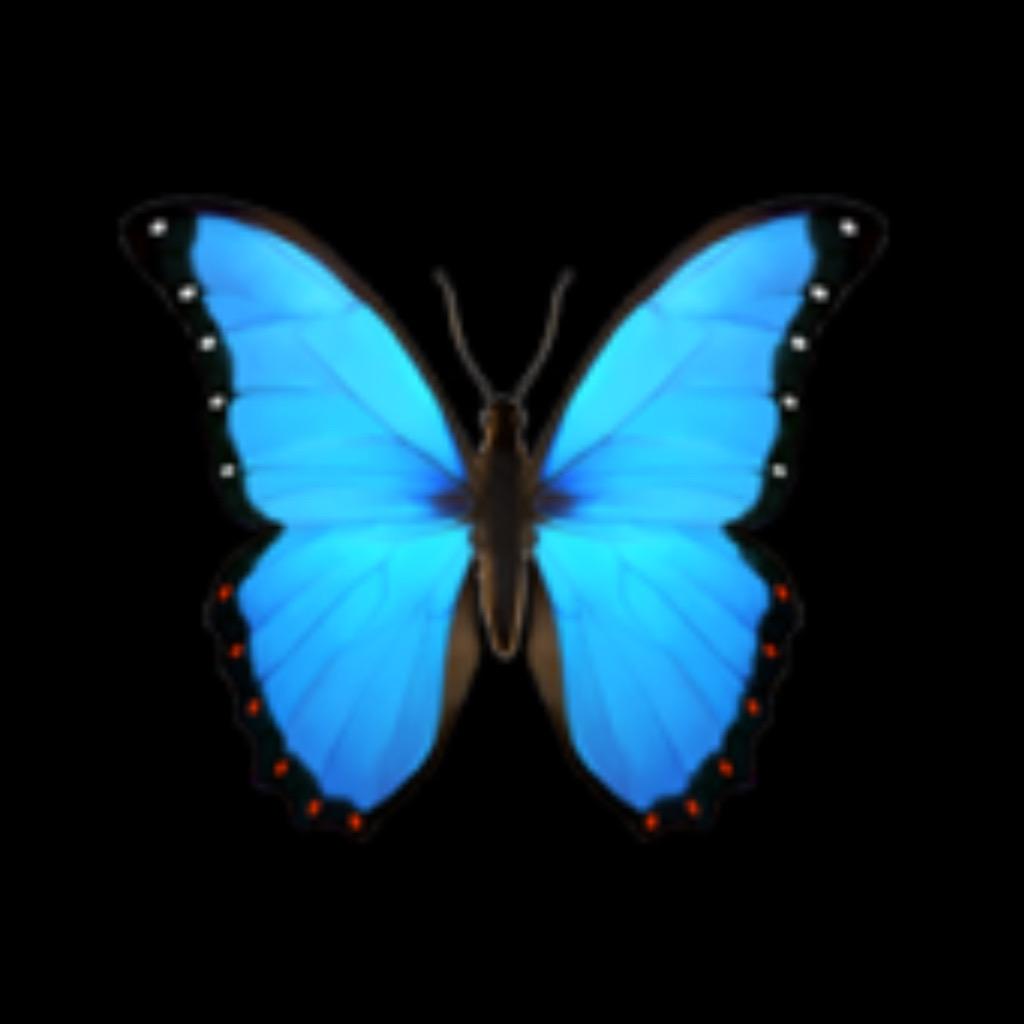 早安🦋