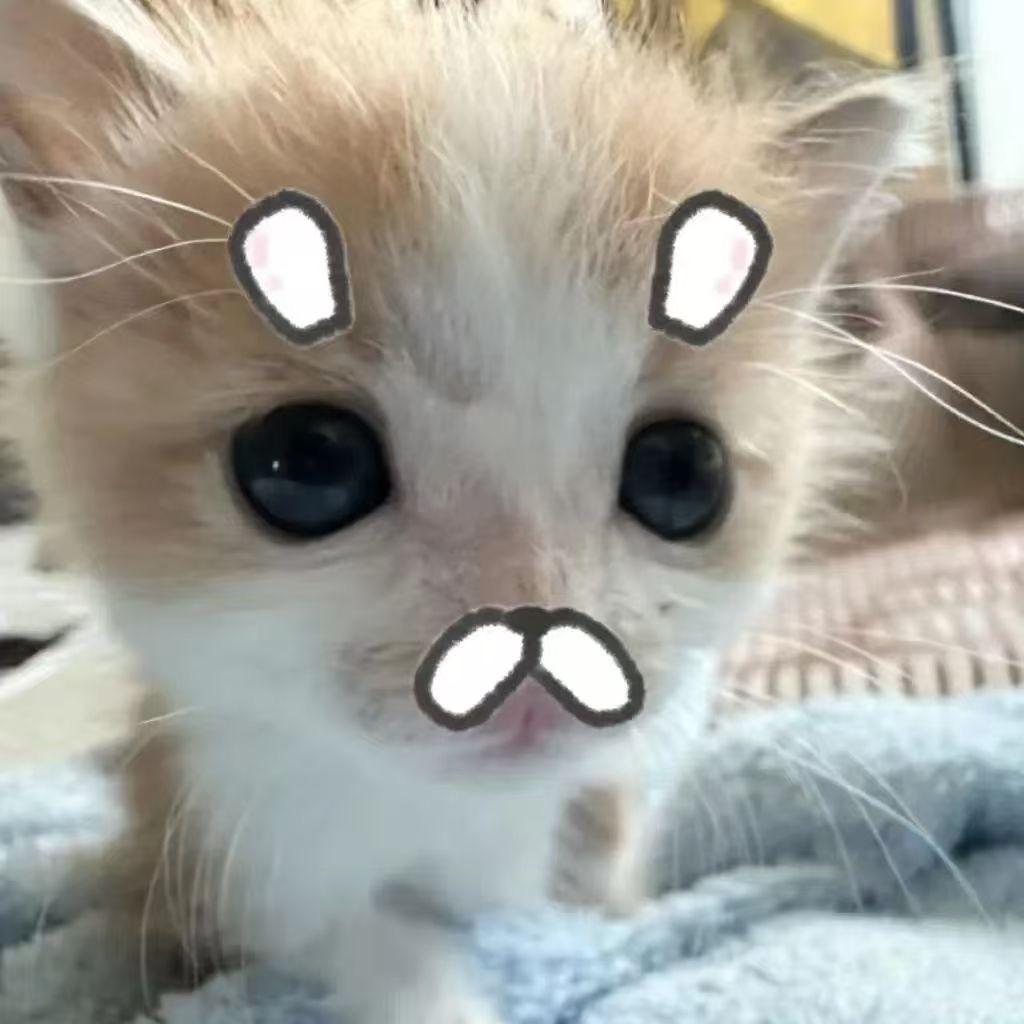 宵宵