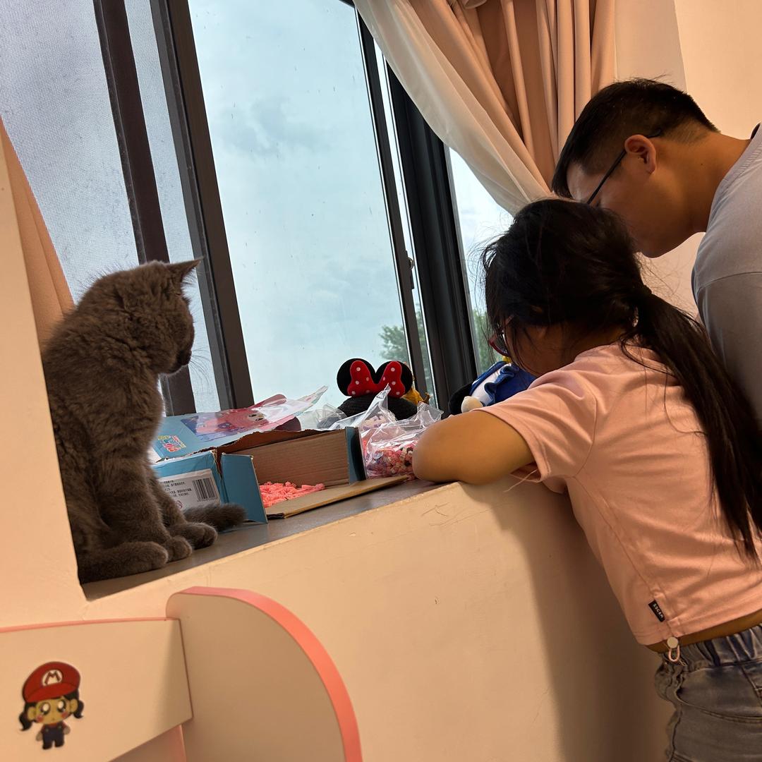 晴哈哈😆