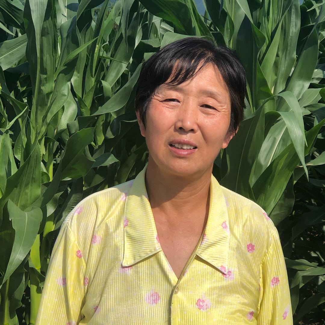 远方的思念.