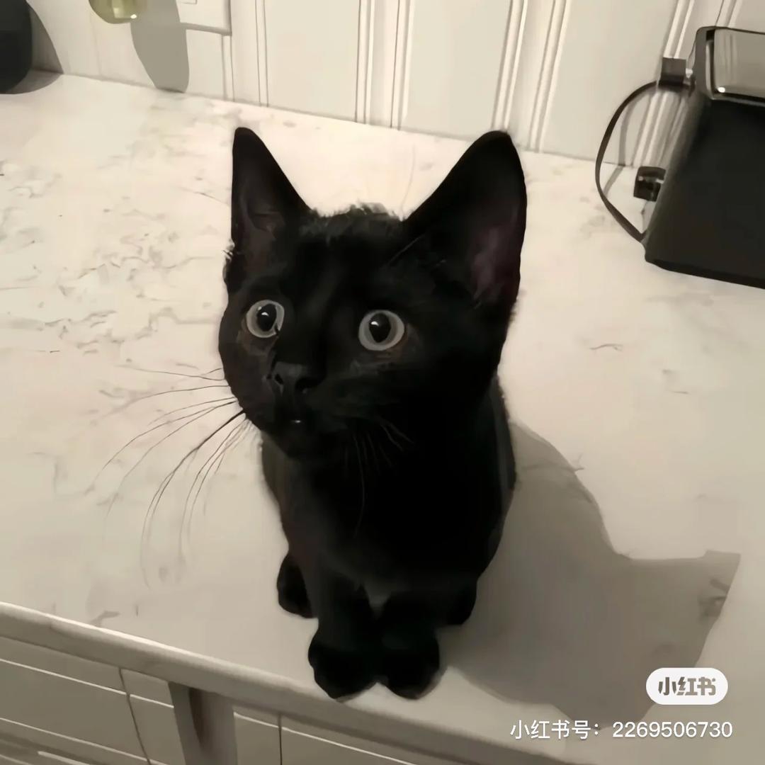 ʷᵒ
