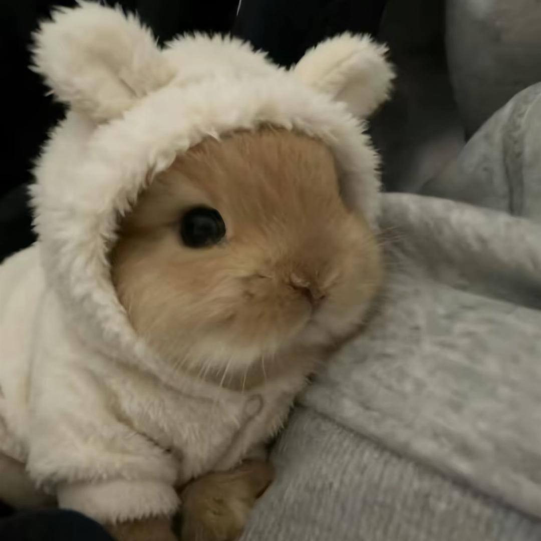 慢吞吞