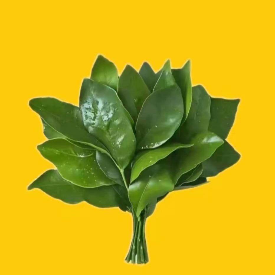 🌼黄宝࿐