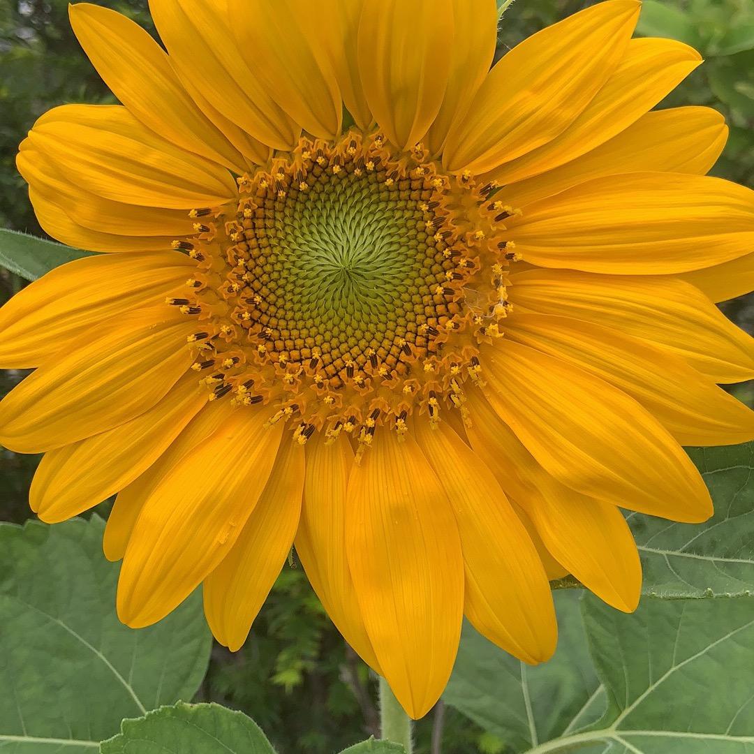 小布点🐰🐰🐰