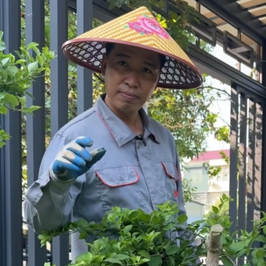 名盛园艺（绿植盆景养护）