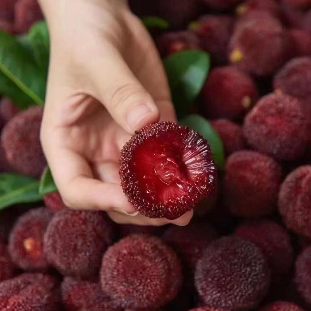 仙居杨梅（百禾农场）